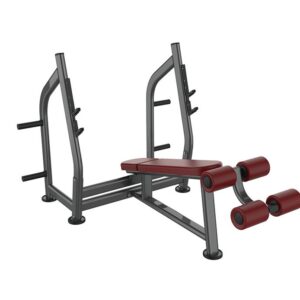 NU-1041 Olympic Decline Bench