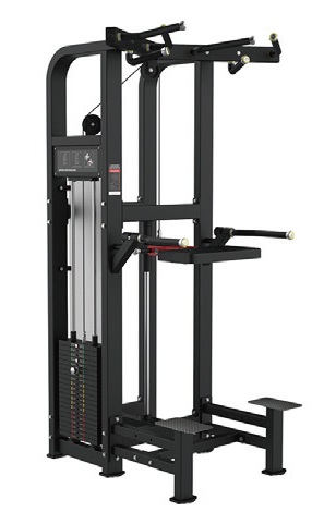 Python-020 Assisted Chin Dip