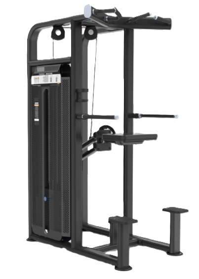 Symphony-020 Assisted Chin Dip